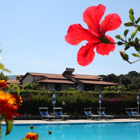 Agriturismo Ninea Ricadi Dış mekan fotoğraf