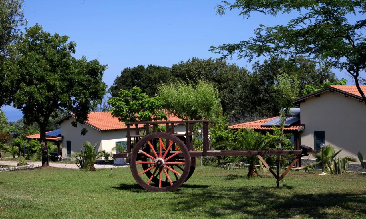 Agriturismo Ninea Ricadi Dış mekan fotoğraf