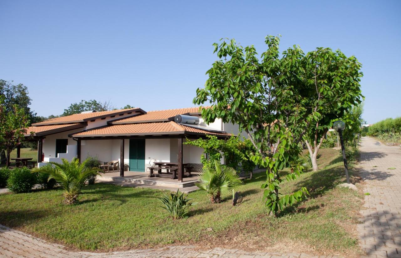 Agriturismo Ninea Ricadi Dış mekan fotoğraf