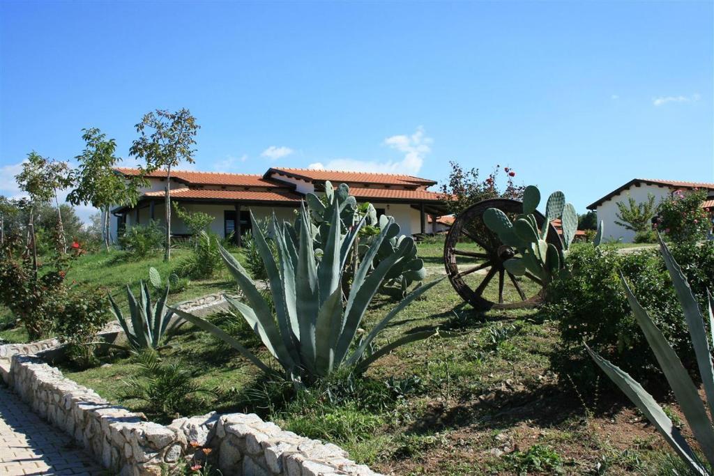 Agriturismo Ninea Ricadi Dış mekan fotoğraf