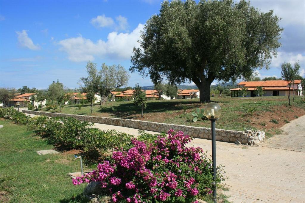 Agriturismo Ninea Ricadi Dış mekan fotoğraf