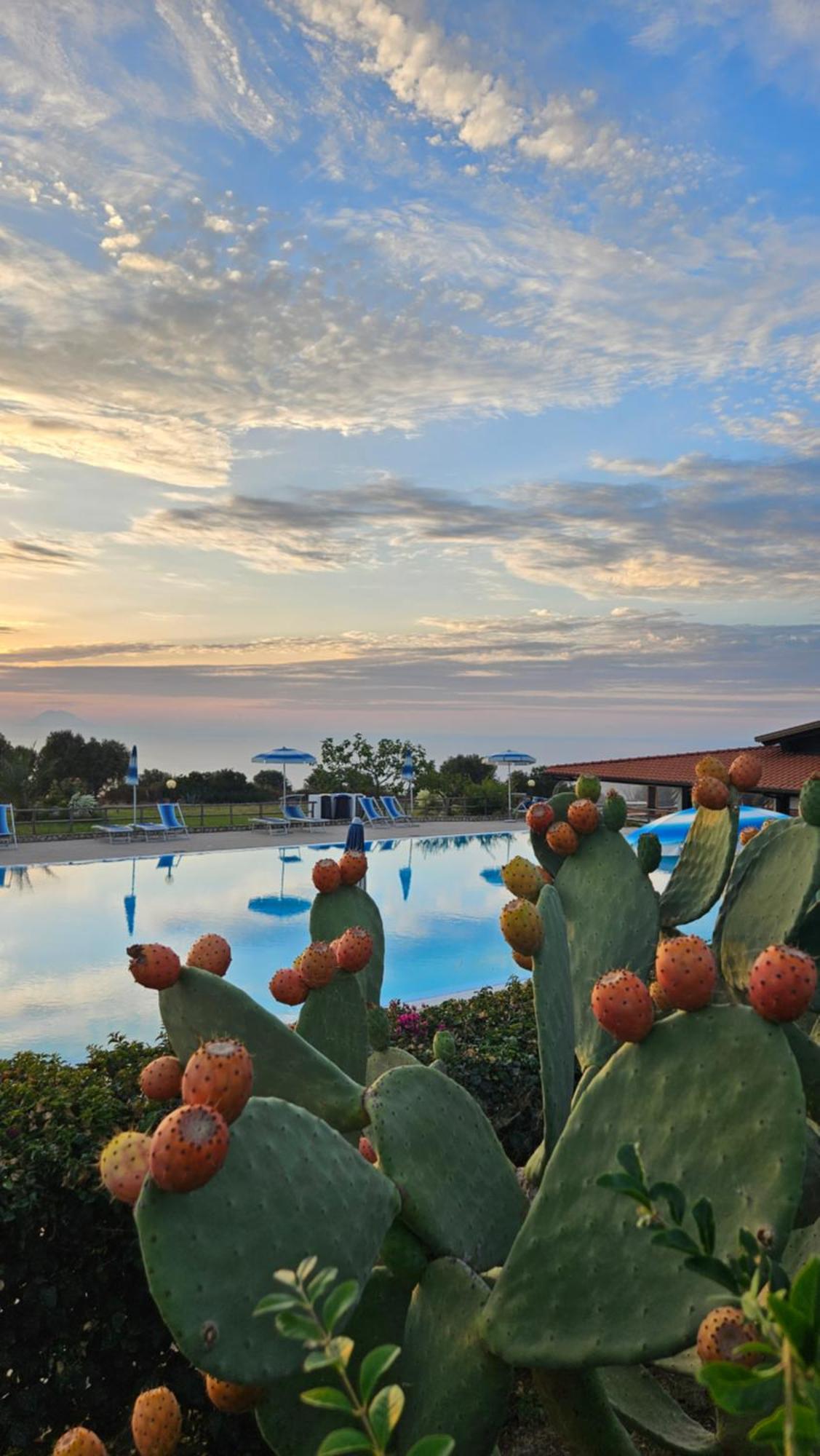 Agriturismo Ninea Ricadi Dış mekan fotoğraf