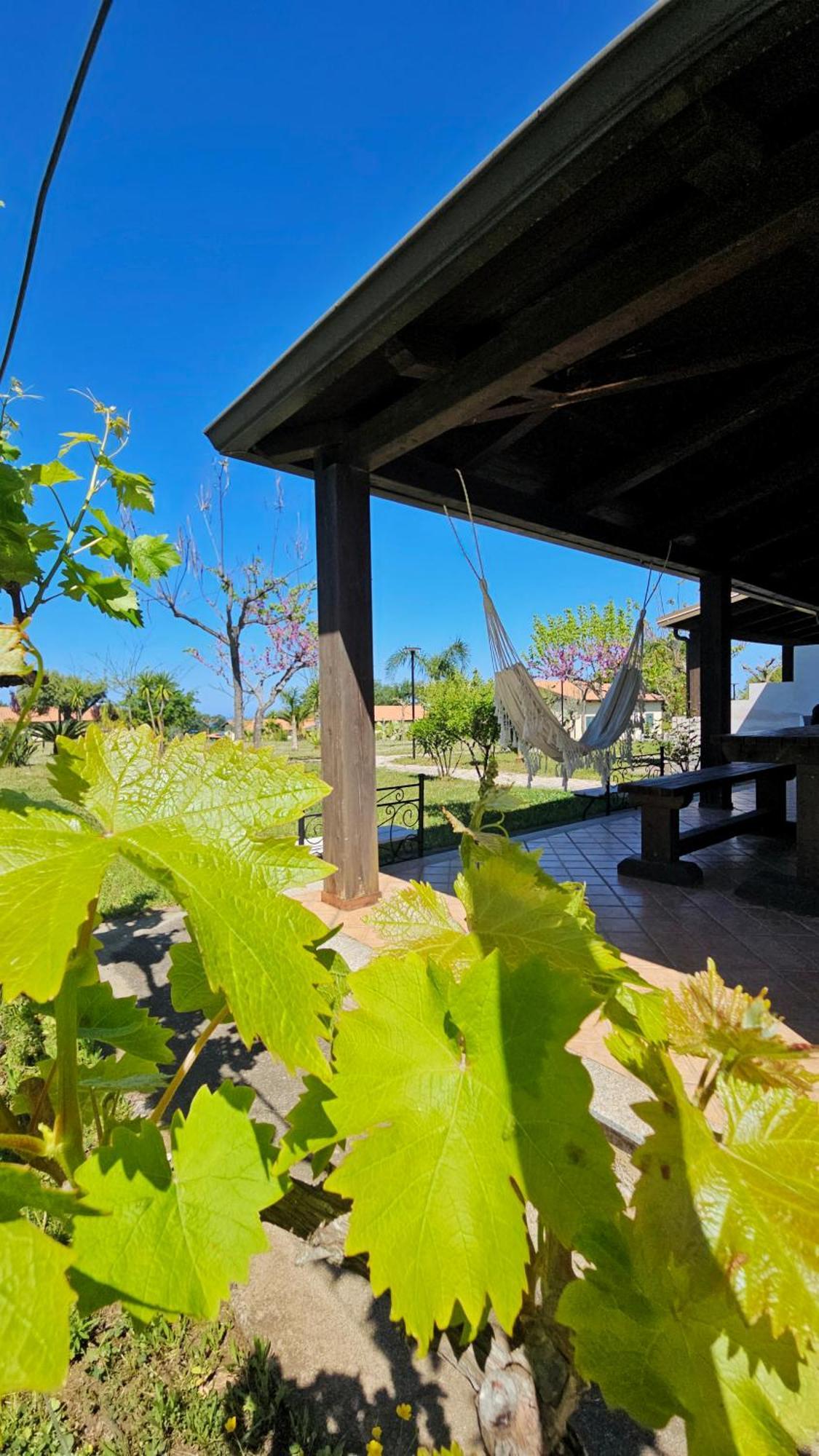 Agriturismo Ninea Ricadi Dış mekan fotoğraf